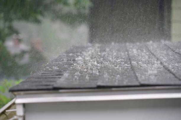 Best Chimney Flashing Repair  in Vicksburg, MI