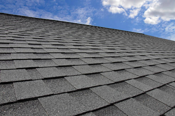 Best Solar Panel Roofing Installation  in Vicksburg, MI