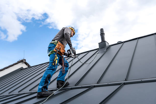 Best Rubber Roofing (EPDM, TPO)  in Vicksburg, MI