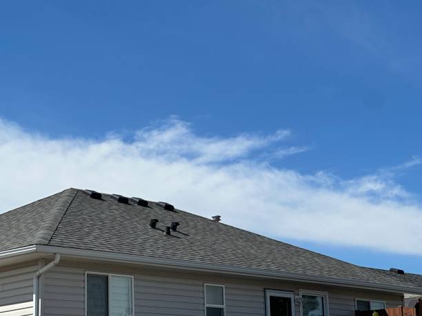 Best Wood Shake Roofing  in Vicksburg, MI